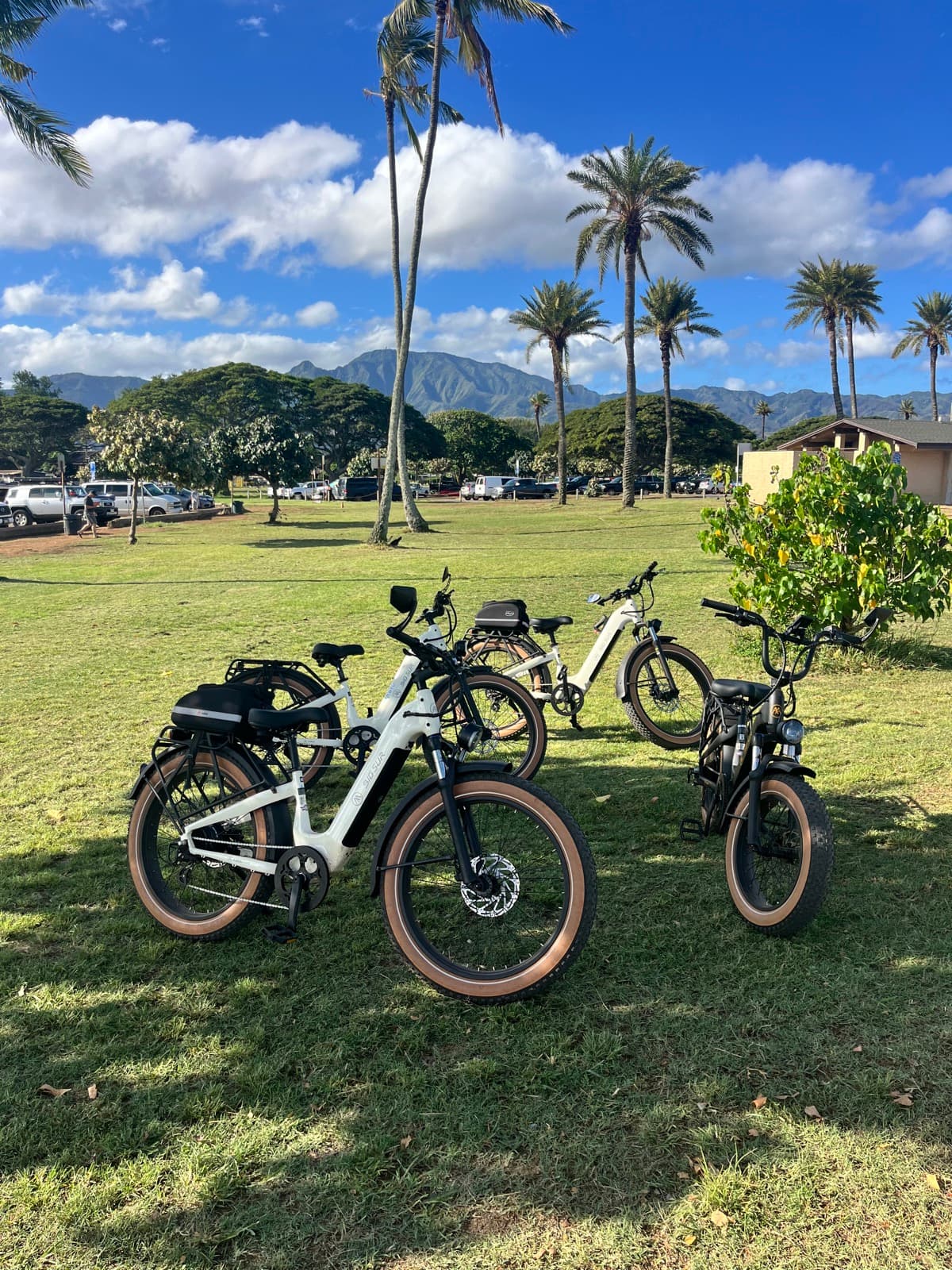 North Shore eBike Tour photo 3