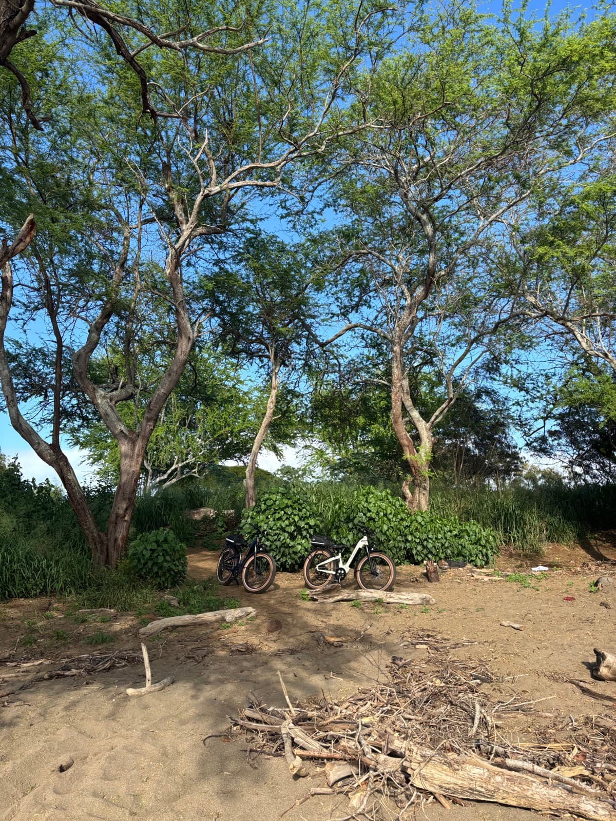 North Shore eBike Tour photo 9