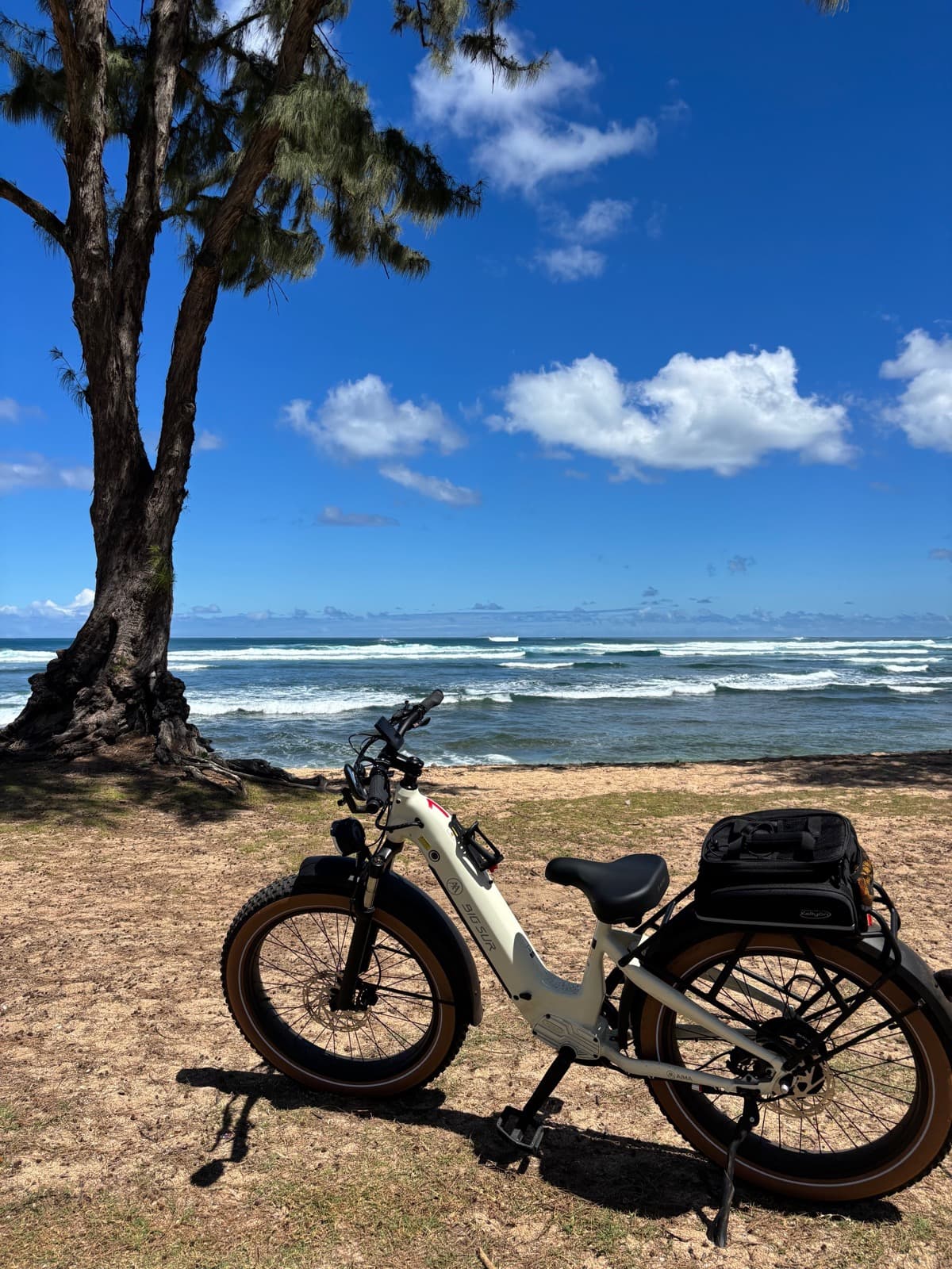 North Shore eBike Tour photo 100