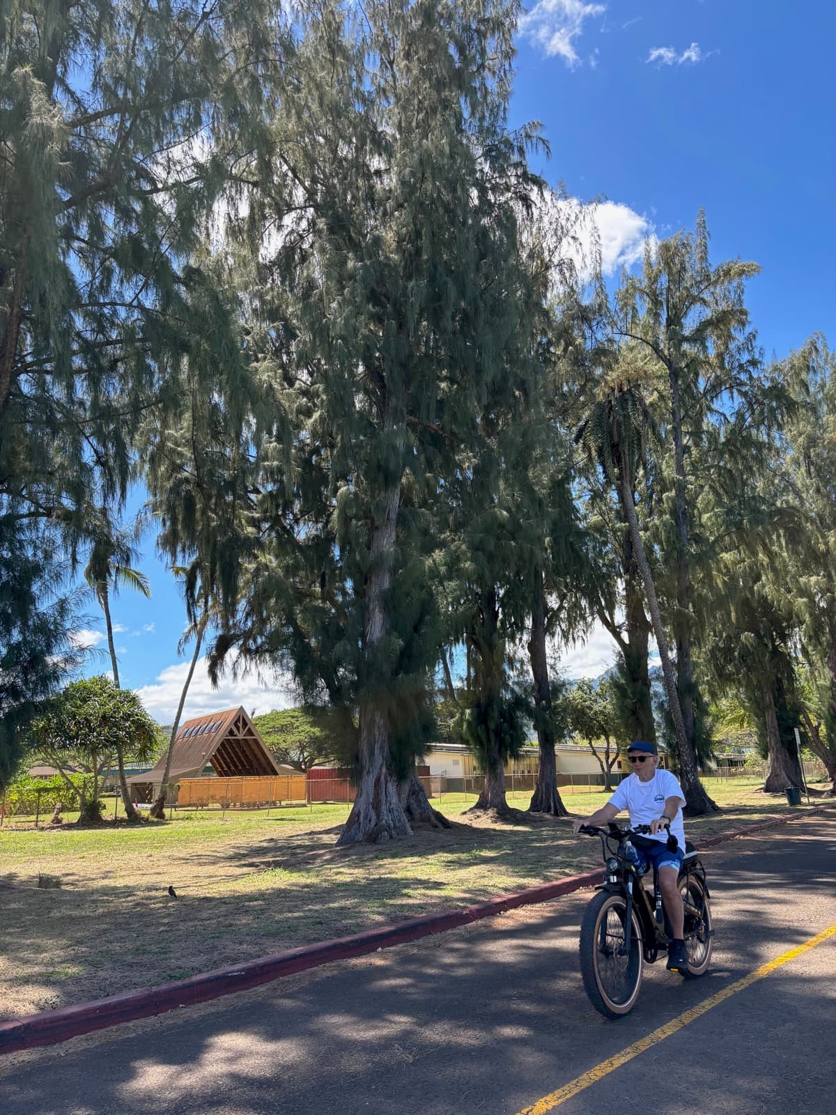 North Shore eBike Tour photo 103