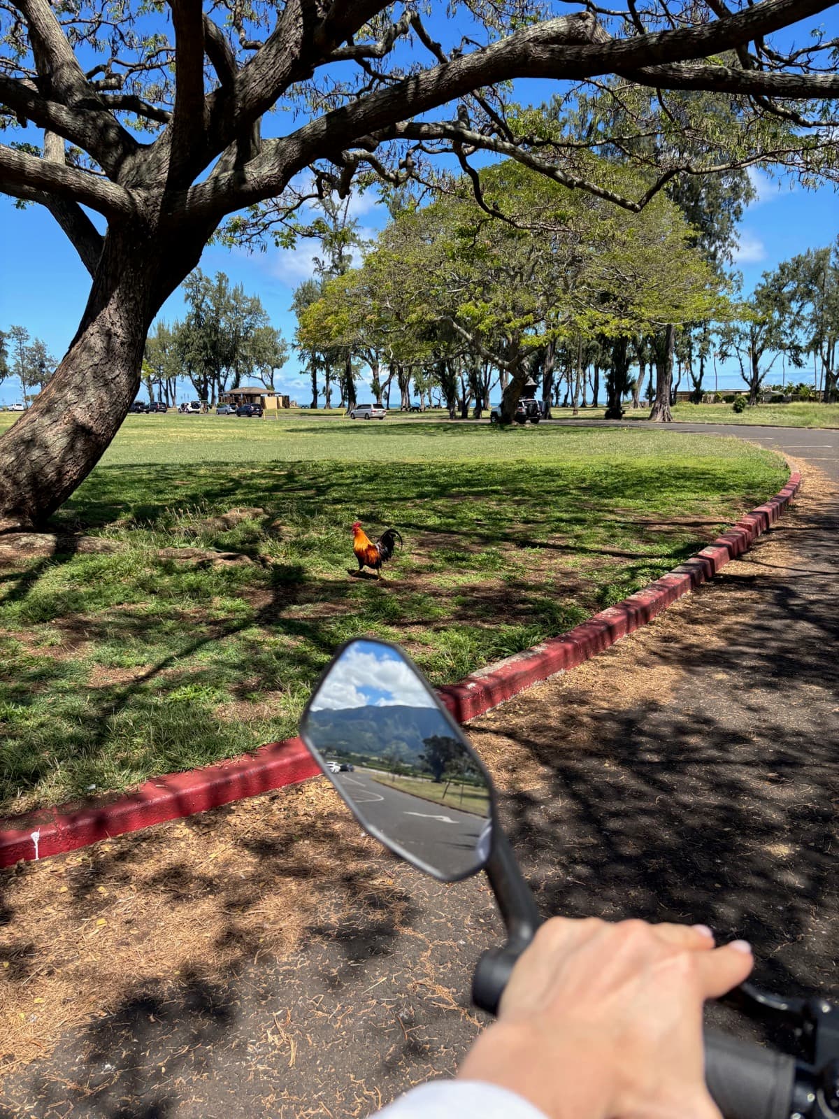 North Shore eBike Tour photo 106