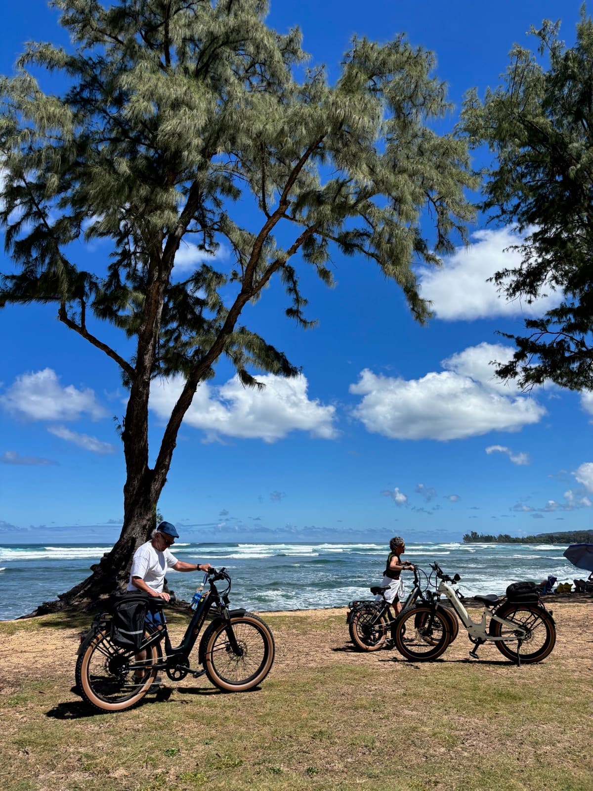North Shore eBike Tour photo 107