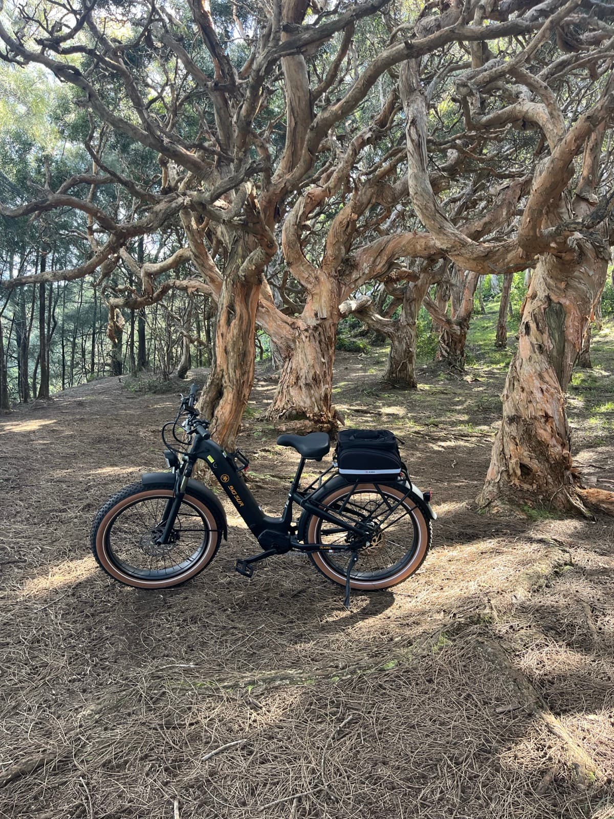 North Shore eBike Tour photo 15
