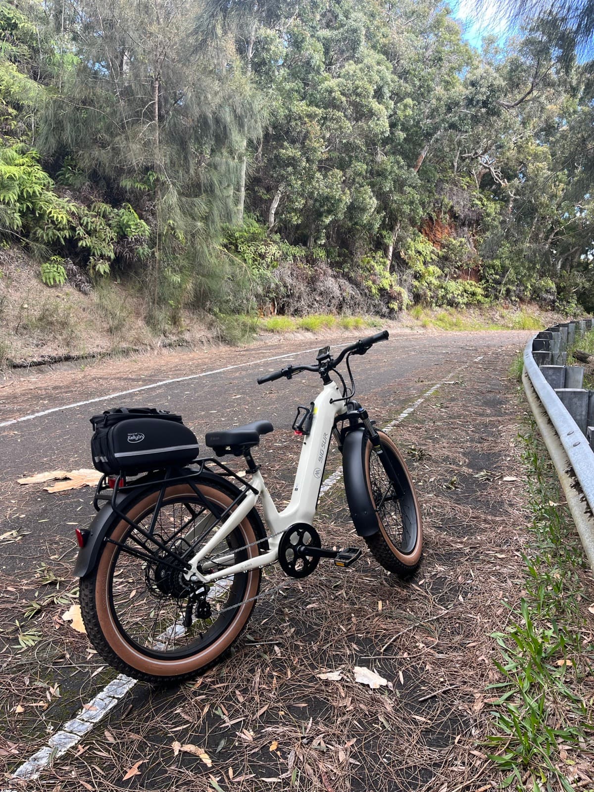 North Shore eBike Tour photo 16