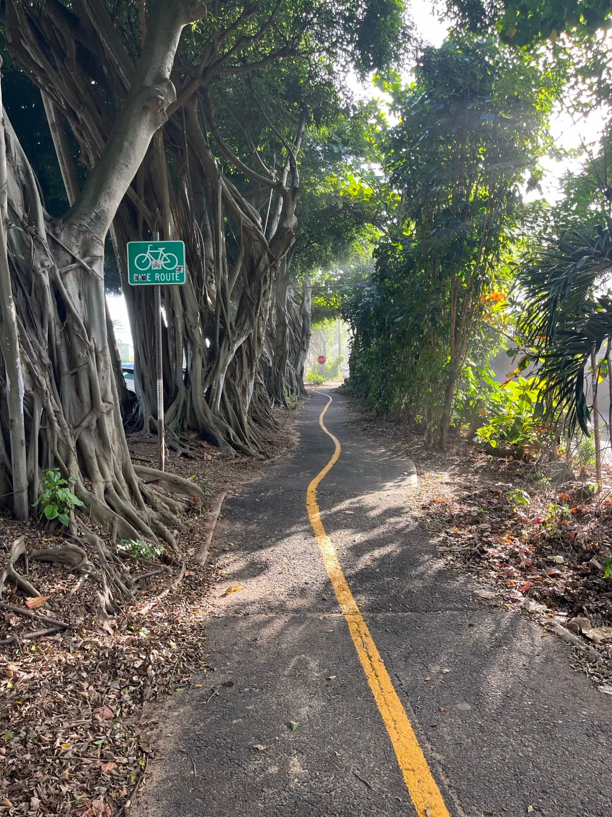 North Shore eBike Tour photo 19