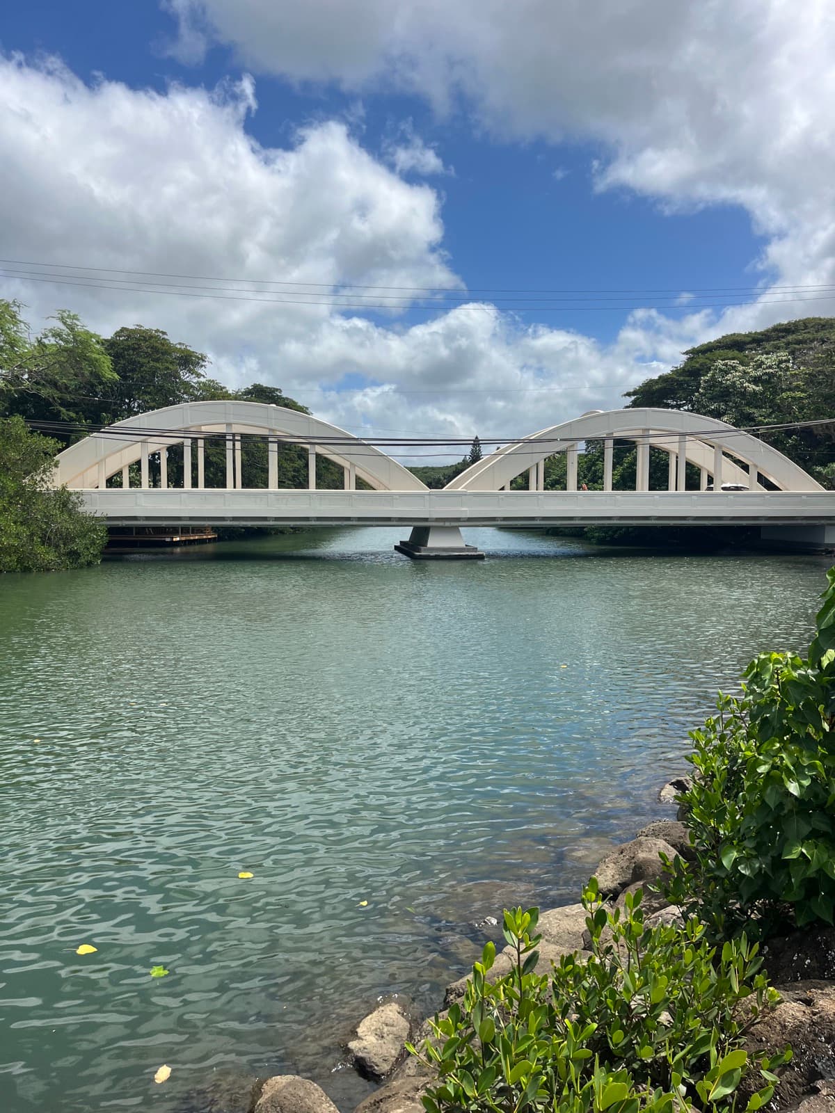 North Shore eBike Tour photo 24