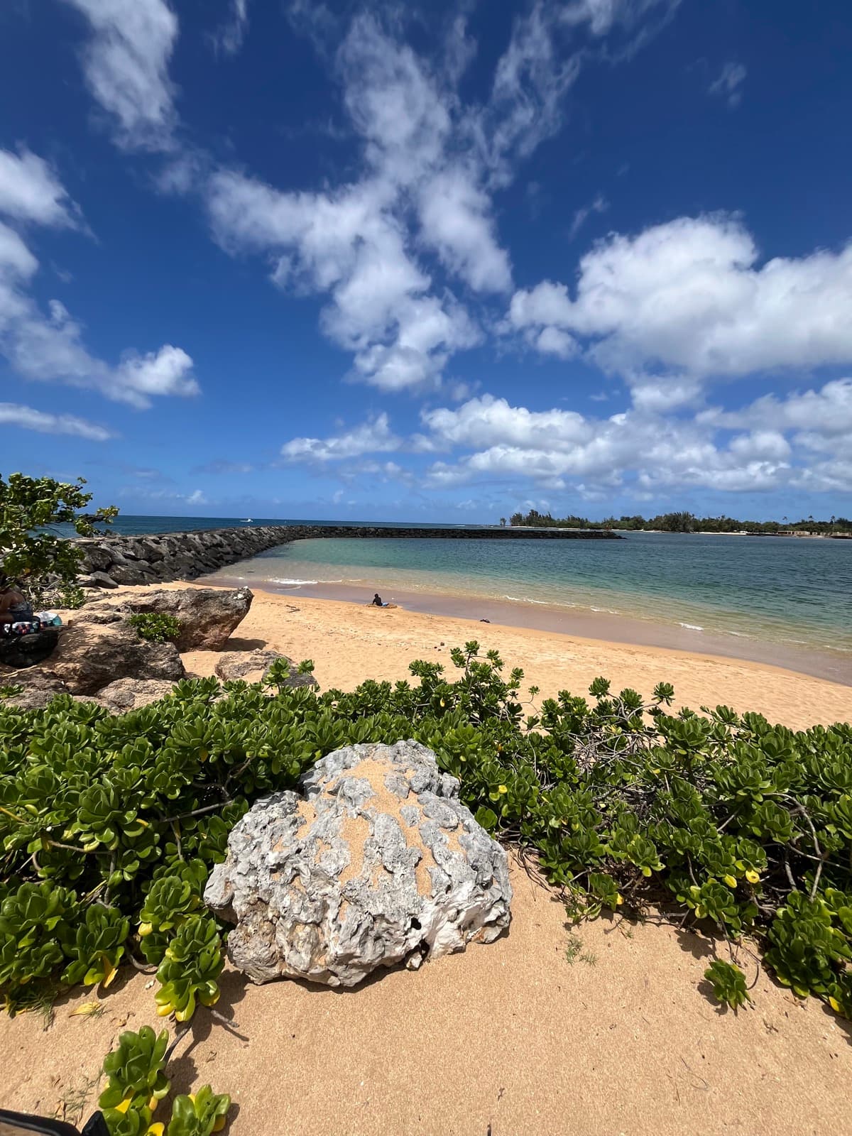 North Shore eBike Tour photo 26
