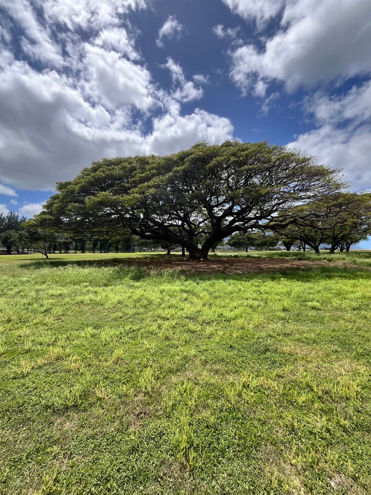 North Shore eBike Tour photo 27
