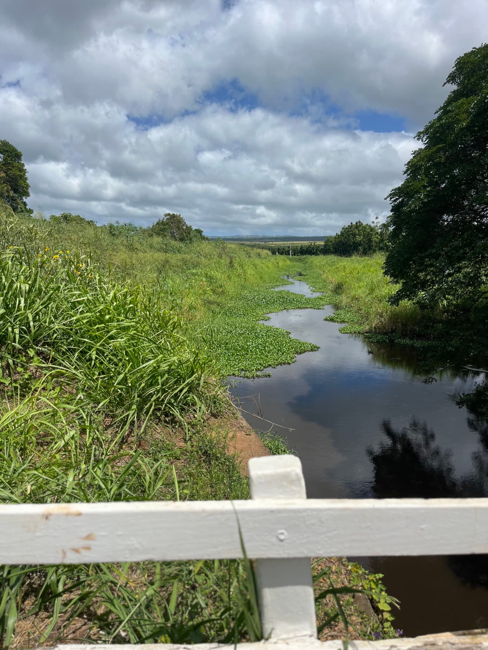 North Shore eBike Tour photo 28
