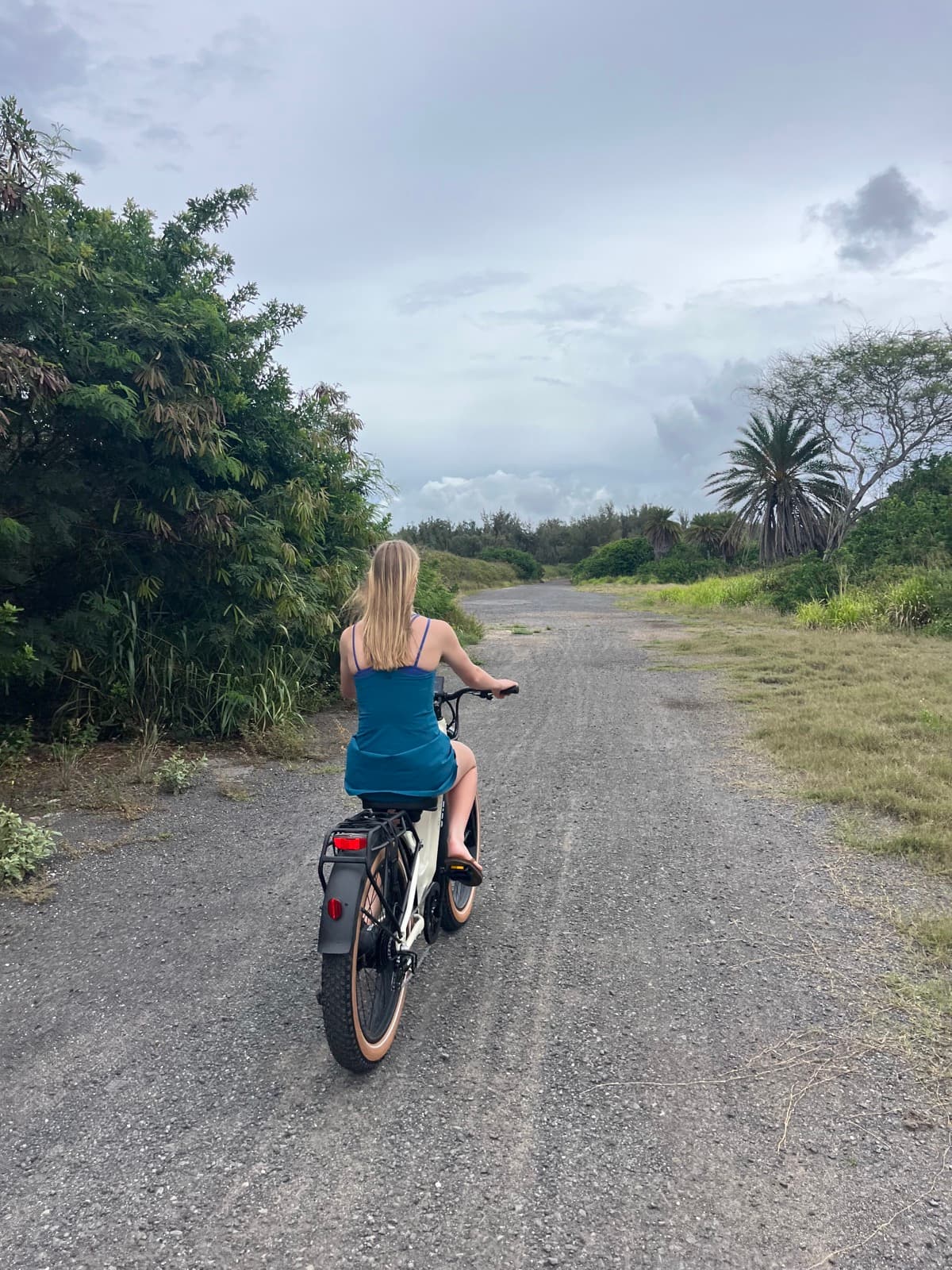 North Shore eBike Tour photo 32