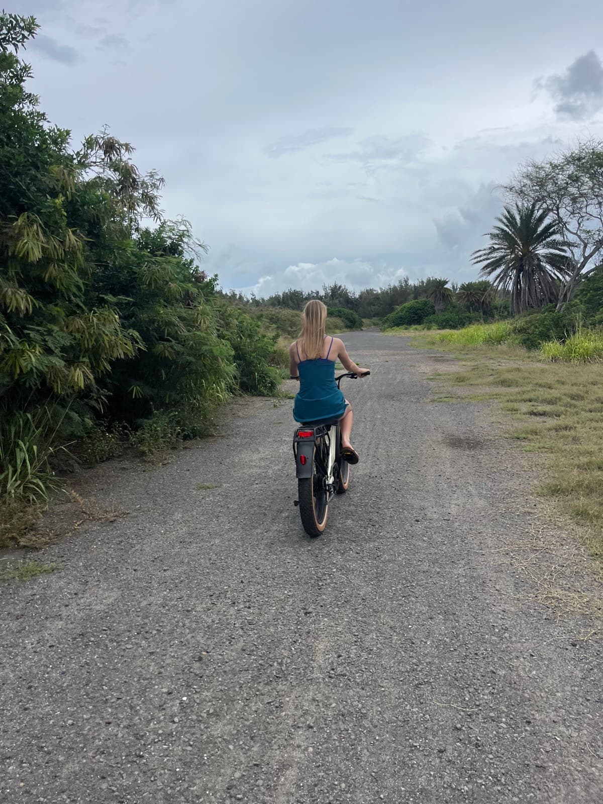North Shore eBike Tour photo 33