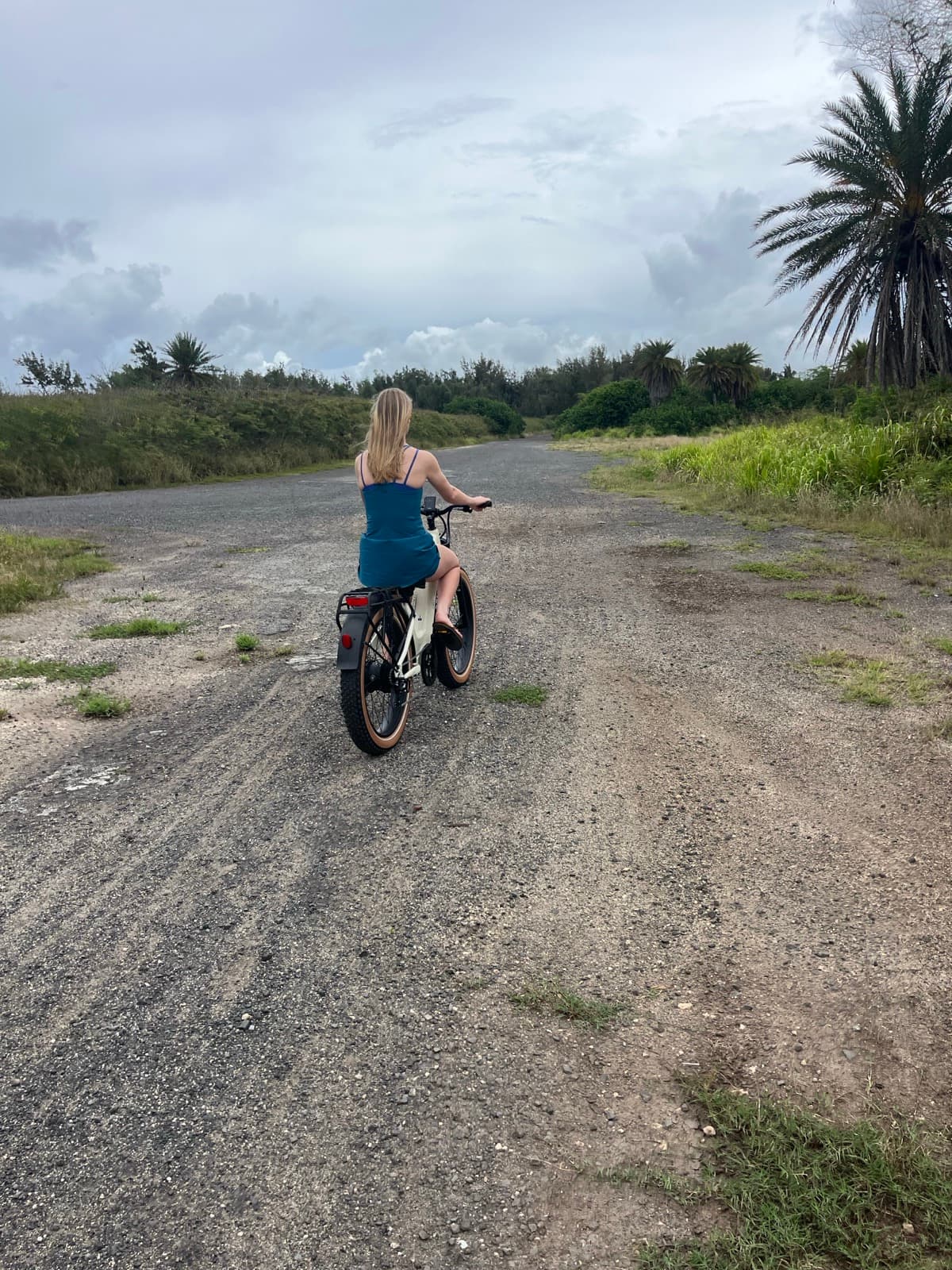 North Shore eBike Tour photo 34