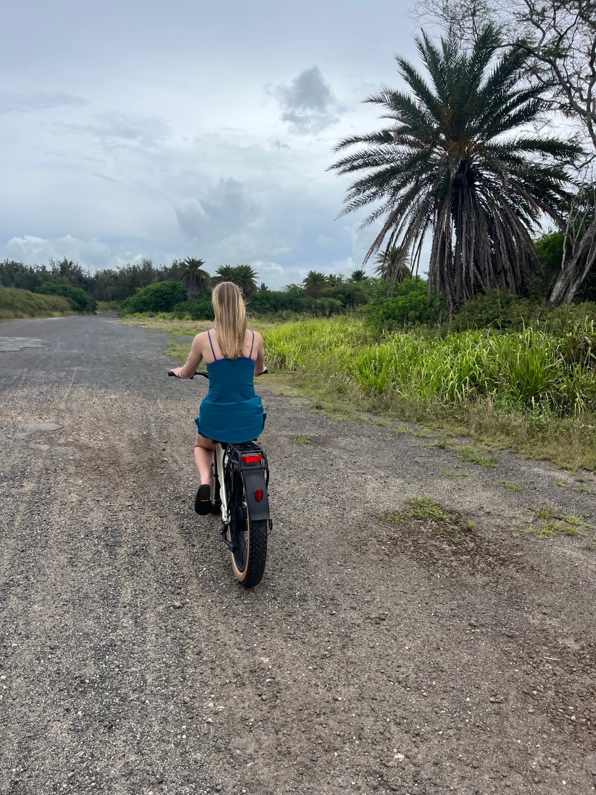 North Shore eBike Tour photo 35