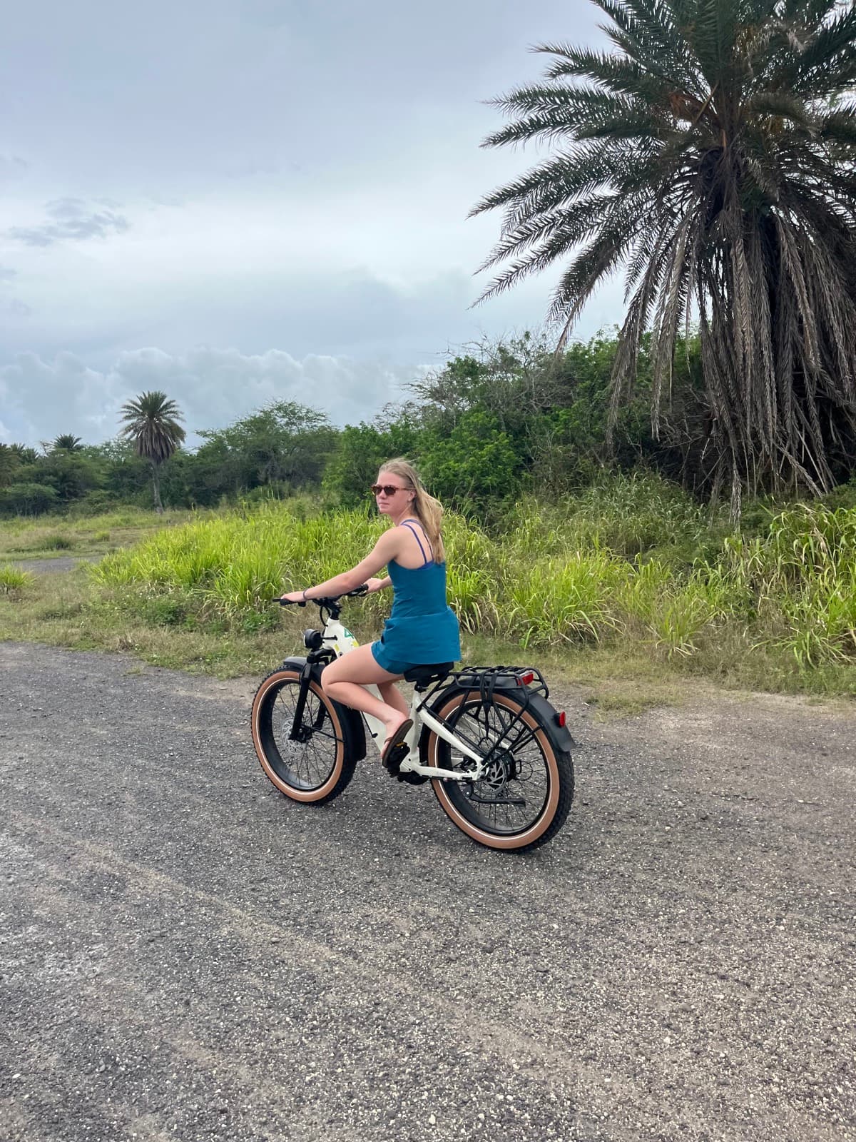 North Shore eBike Tour photo 36