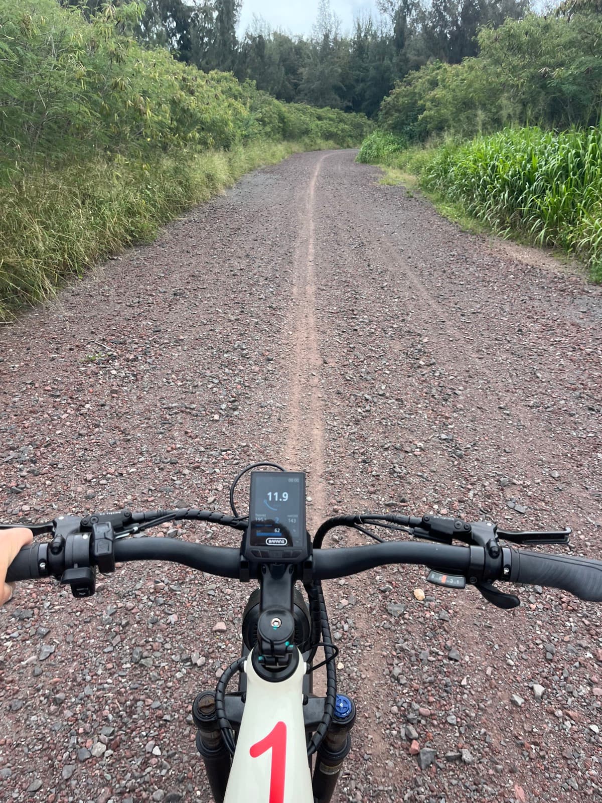 North Shore eBike Tour photo 37