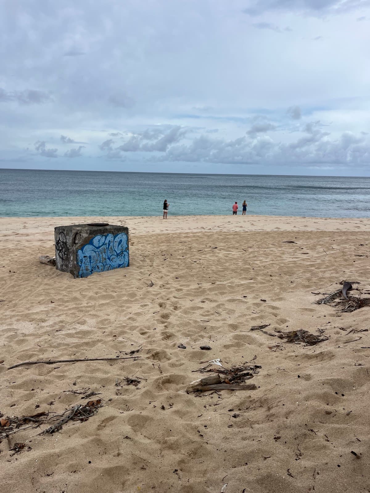 North Shore eBike Tour photo 38