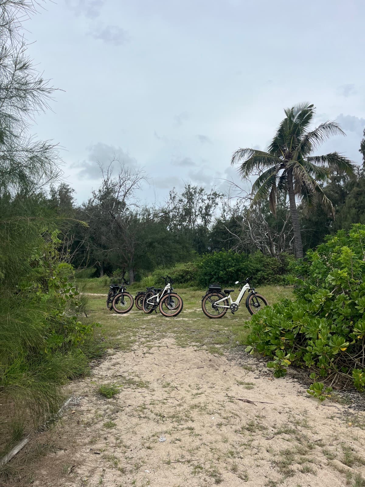 North Shore eBike Tour photo 40