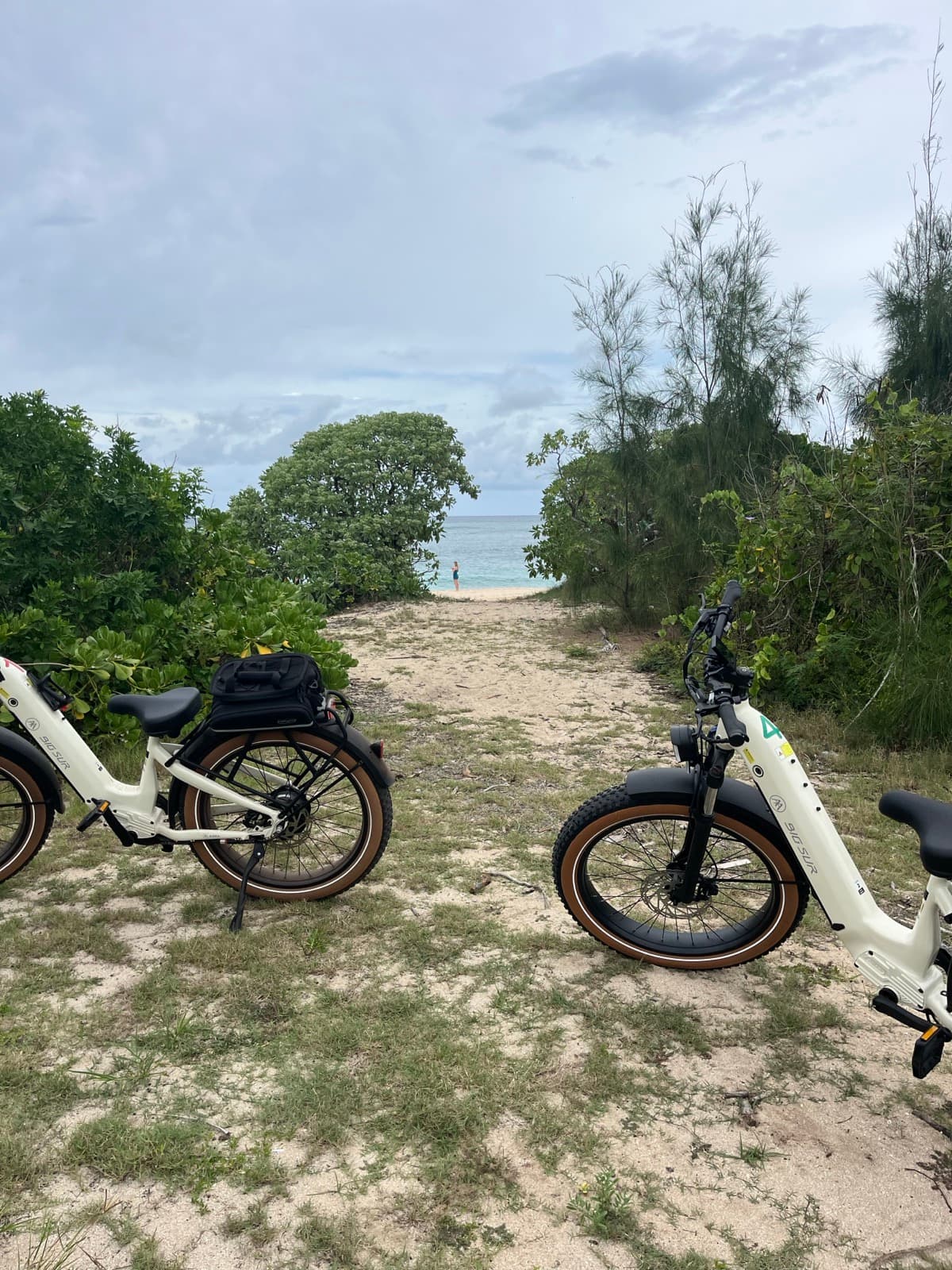 North Shore eBike Tour photo 41