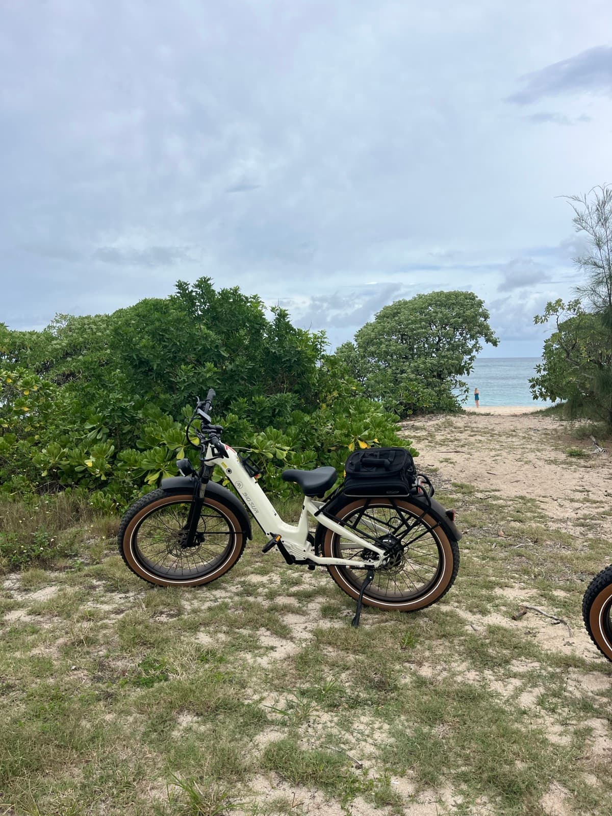 North Shore eBike Tour photo 42