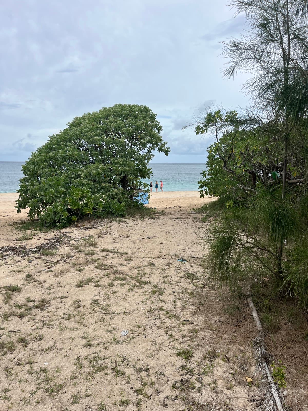 North Shore eBike Tour photo 43