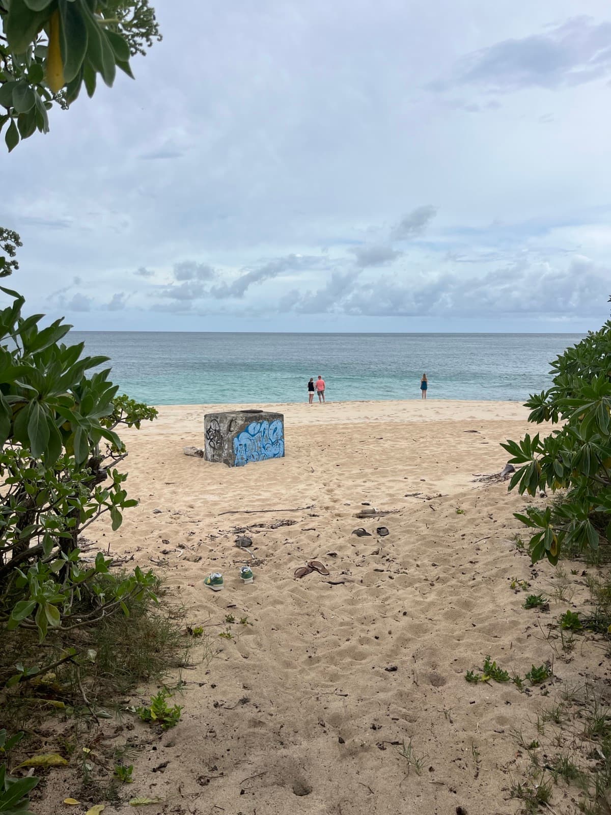 North Shore eBike Tour photo 44