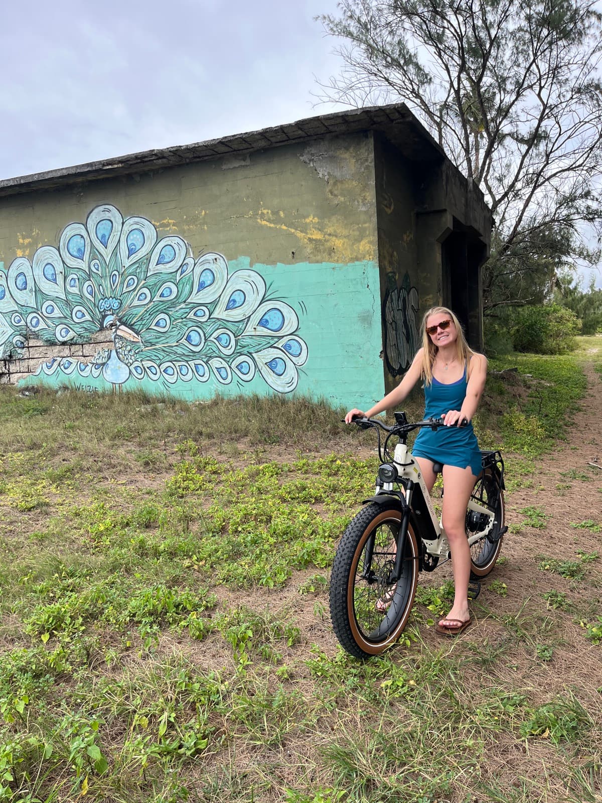 North Shore eBike Tour photo 47