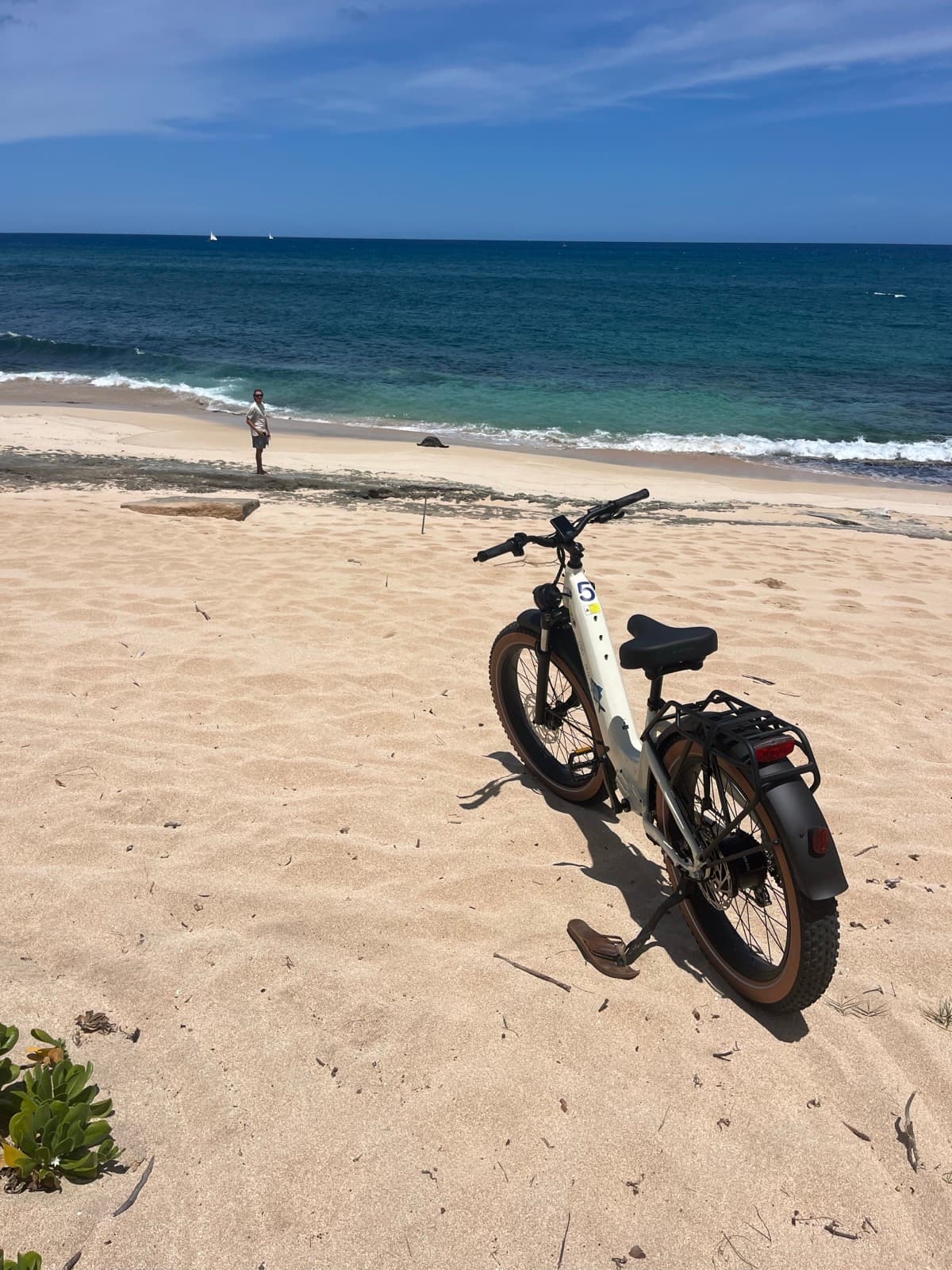 North Shore eBike Tour photo 53