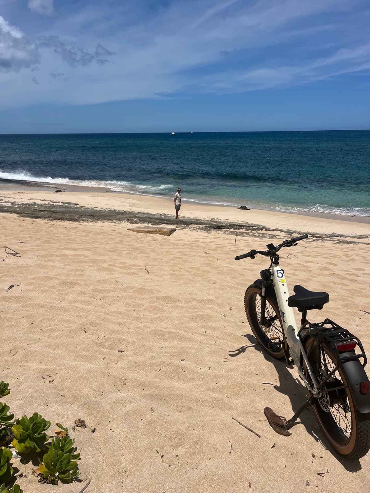North Shore eBike Tour photo 54