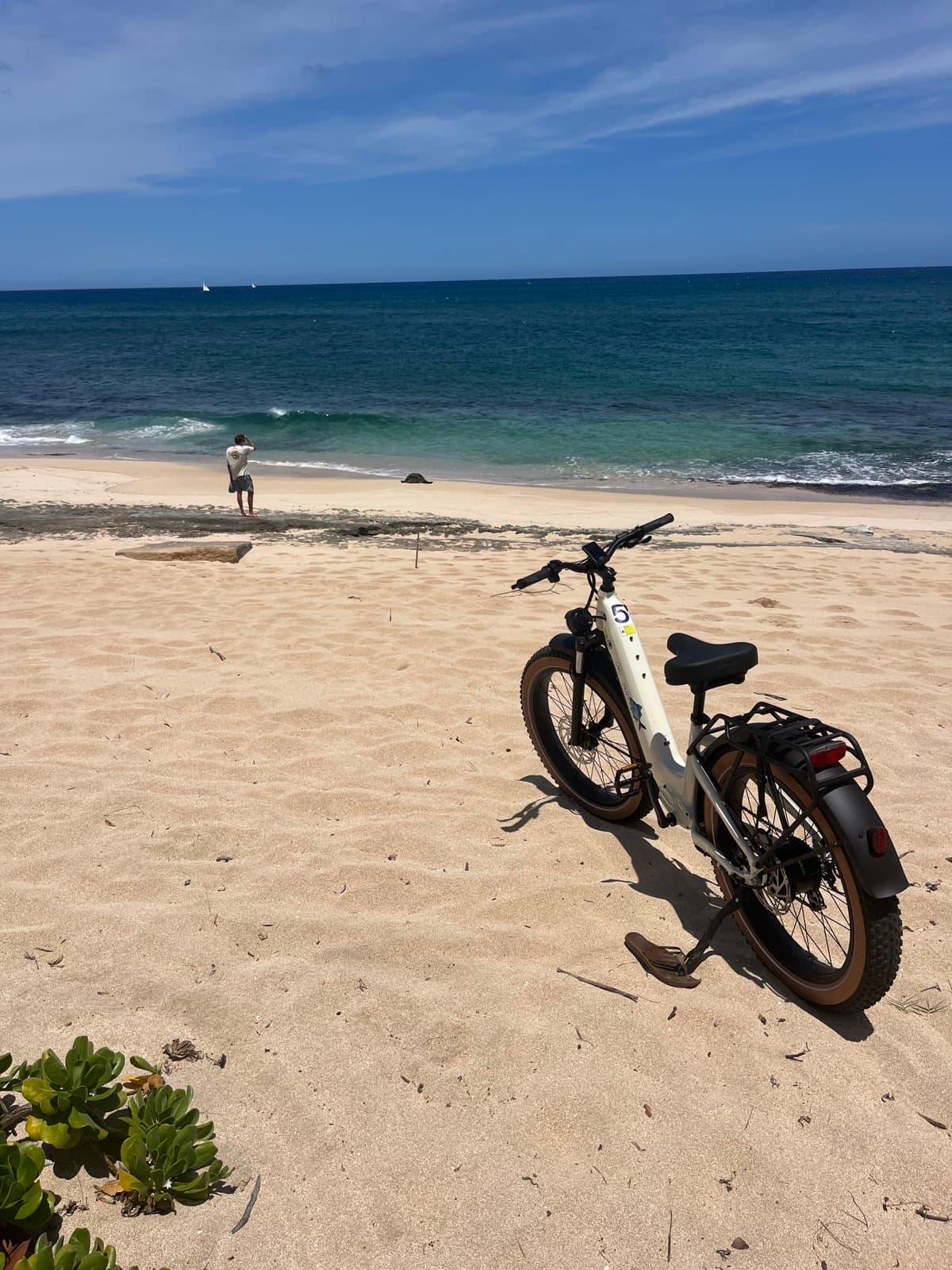 North Shore eBike Tour photo 55