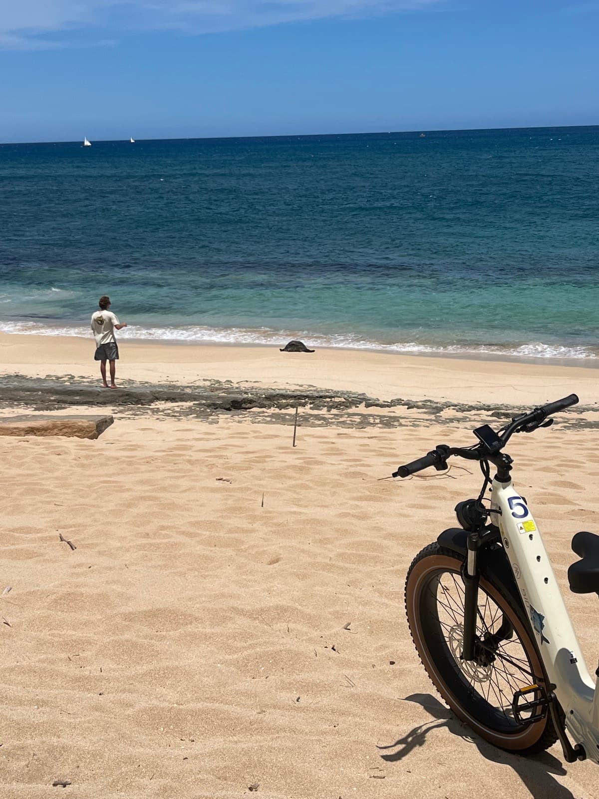 North Shore eBike Tour photo 56
