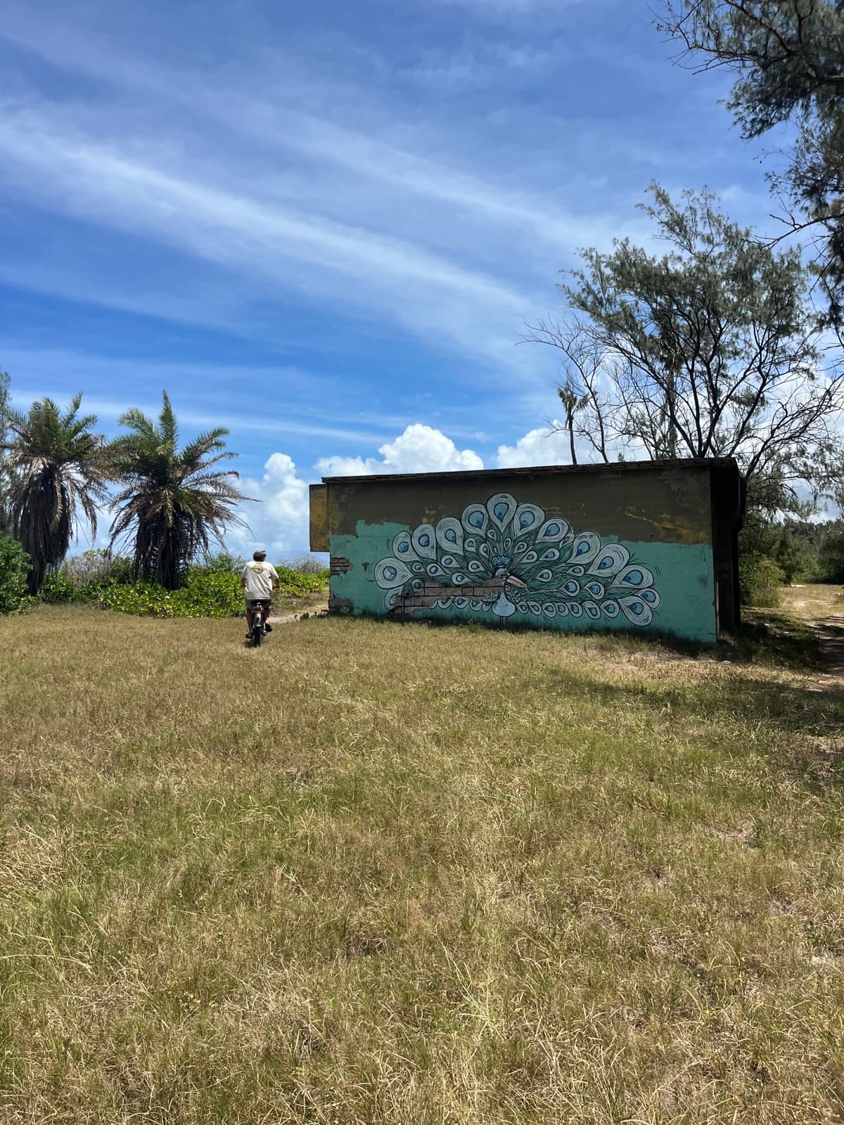 North Shore eBike Tour photo 57