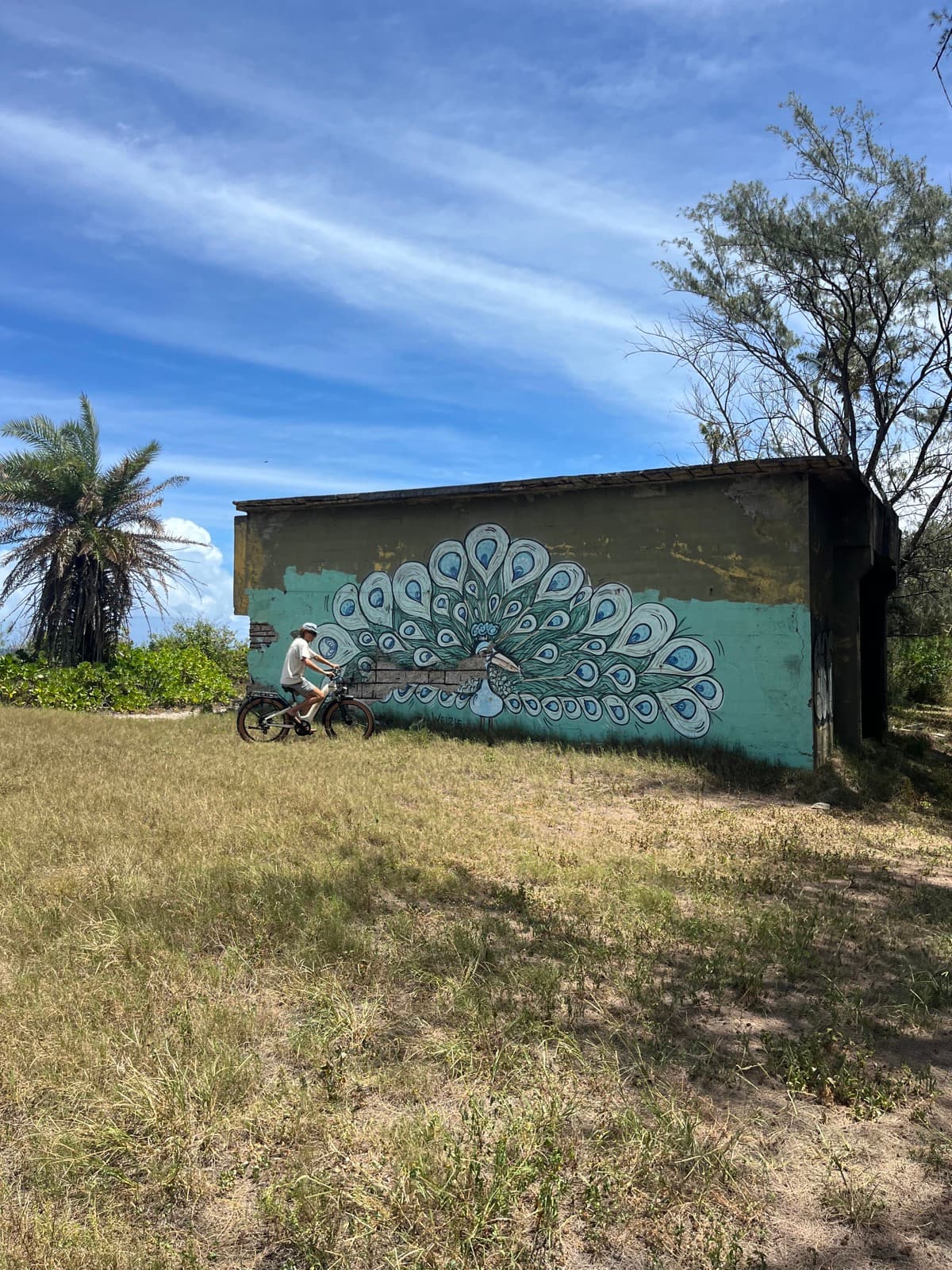 North Shore eBike Tour photo 58