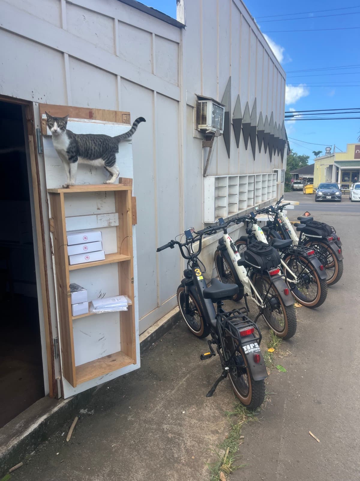 North Shore eBike Tour photo 60