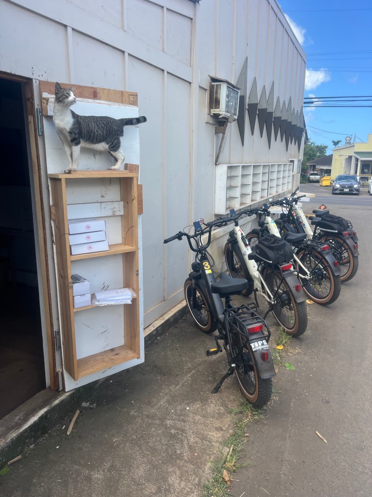 North Shore eBike Tour photo 61