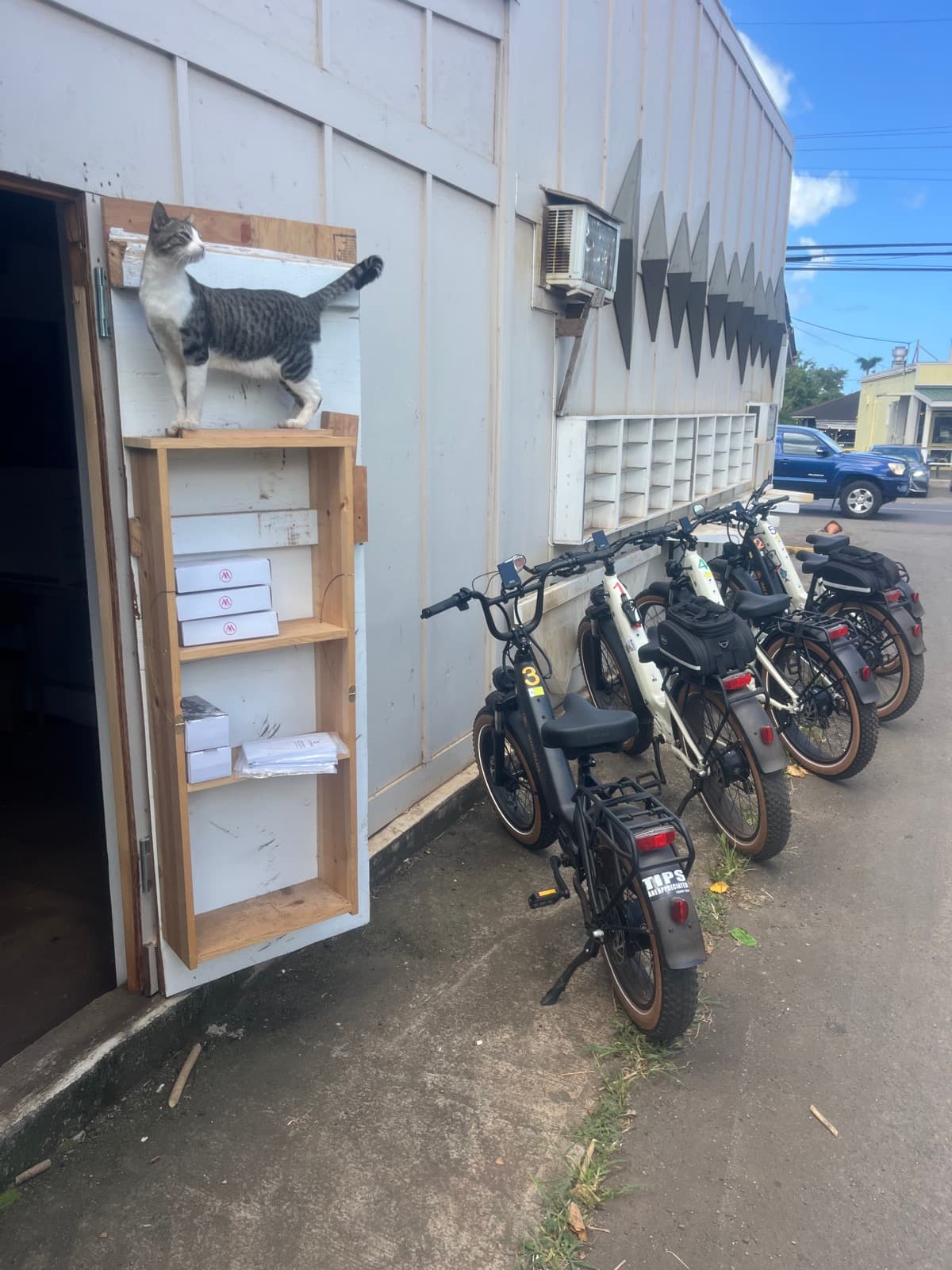 North Shore eBike Tour photo 62