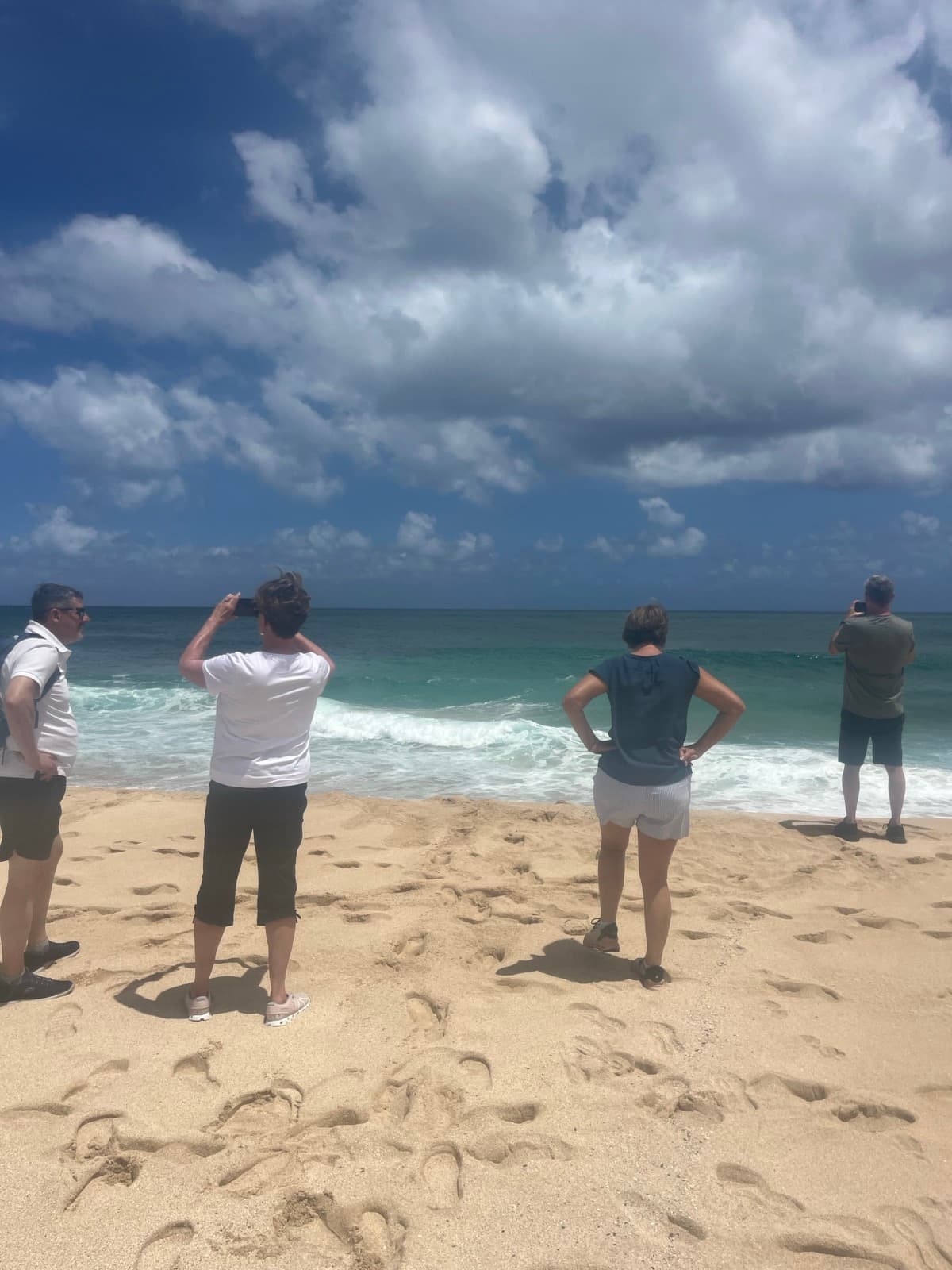 North Shore eBike Tour photo 63
