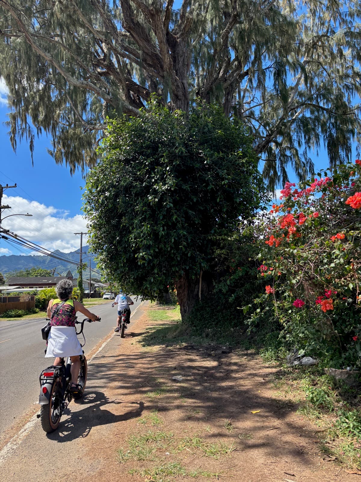 North Shore eBike Tour photo 85
