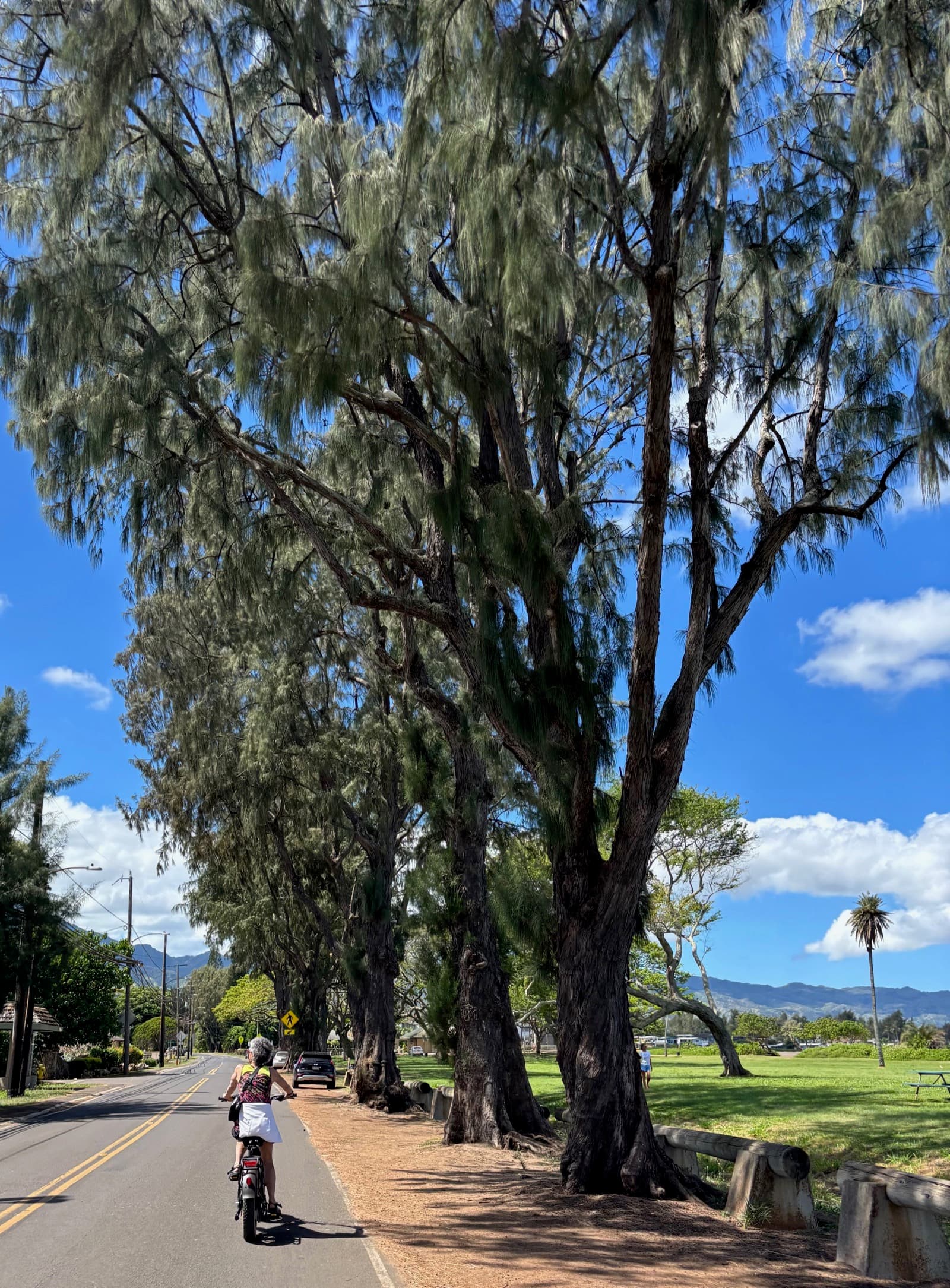 North Shore eBike Tour photo 92