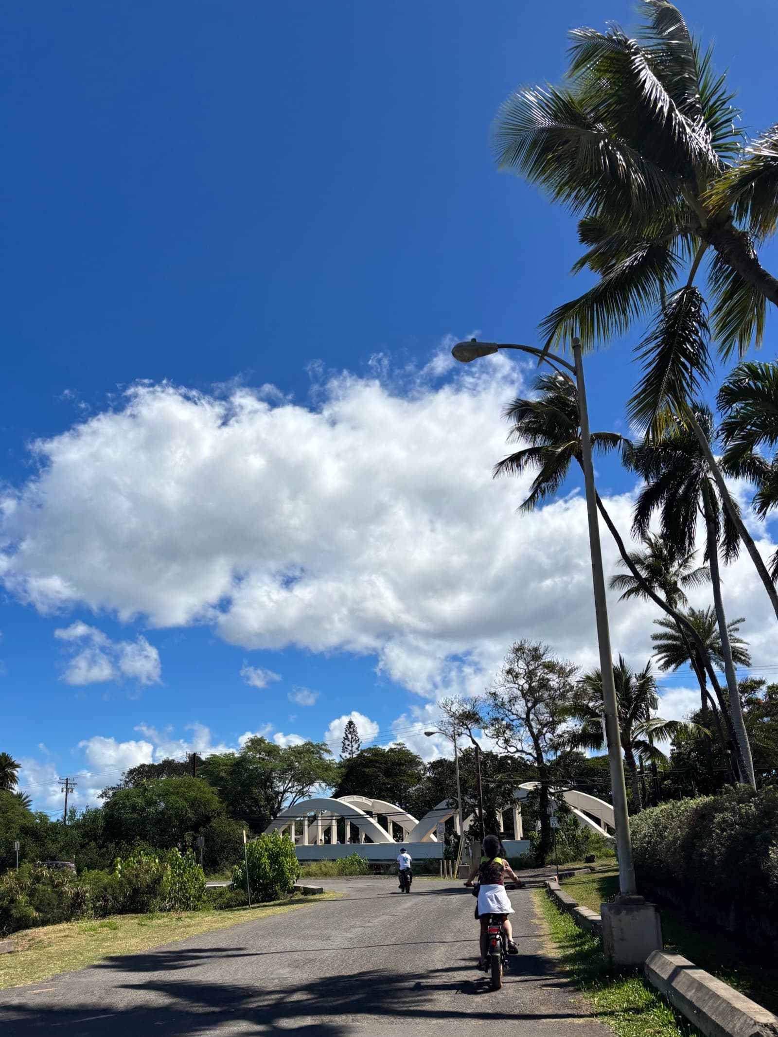 North Shore eBike Tour photo 97