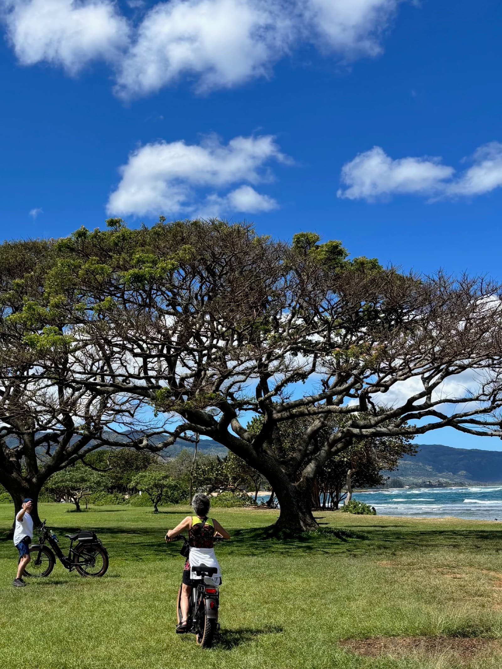 North Shore eBike Tour photo 99
